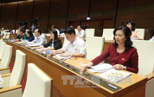 Thông qua Luật đấu giá tài sản 